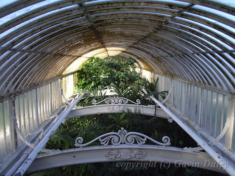 Among the girders, Palm House, Royal Botanic Gardens Kew IMGP6254.JPG